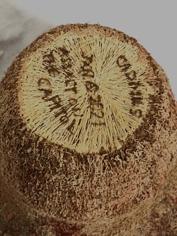 Bottom, wood filaments, made on Jan 6 2021 comment on bottomCadmus