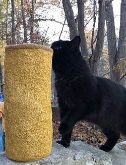 S.Cadmus, Yellow vase for large dried or artificial flowers 13” 3D pen SOLD